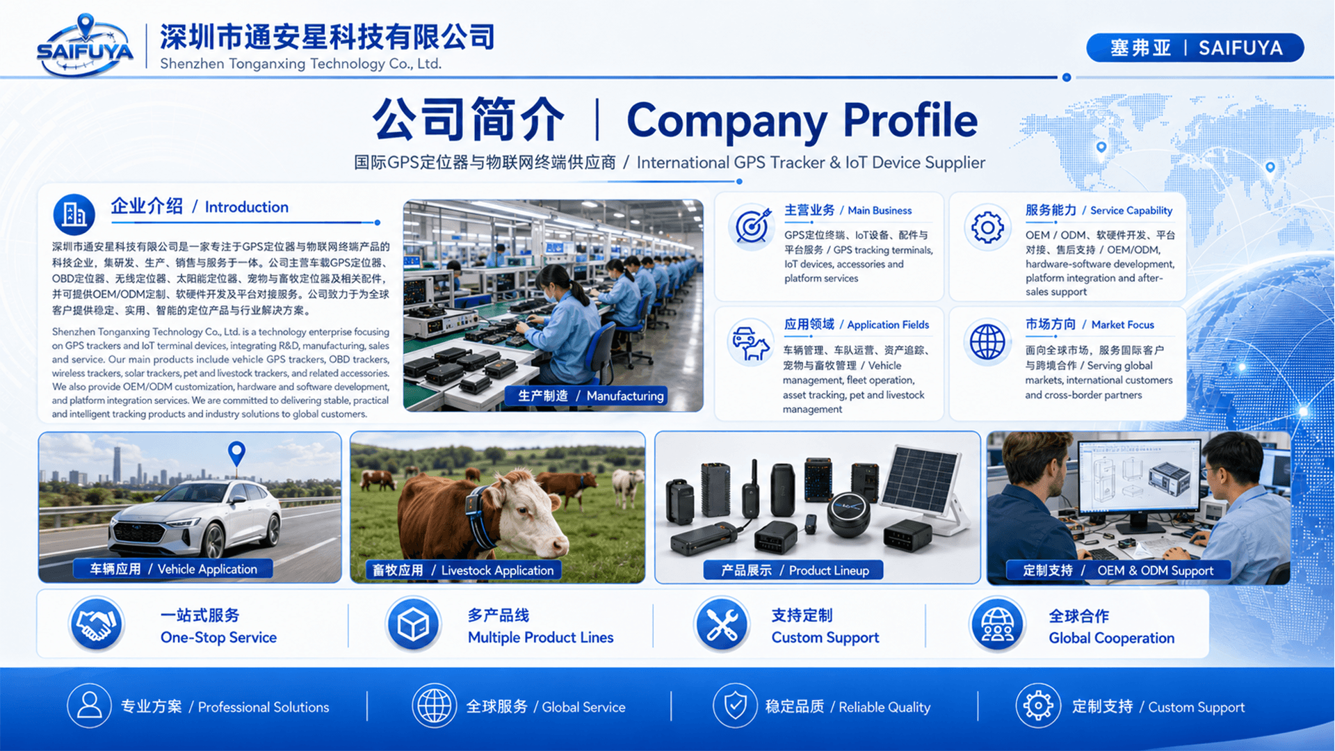 塞弗亚公司简介宣传图